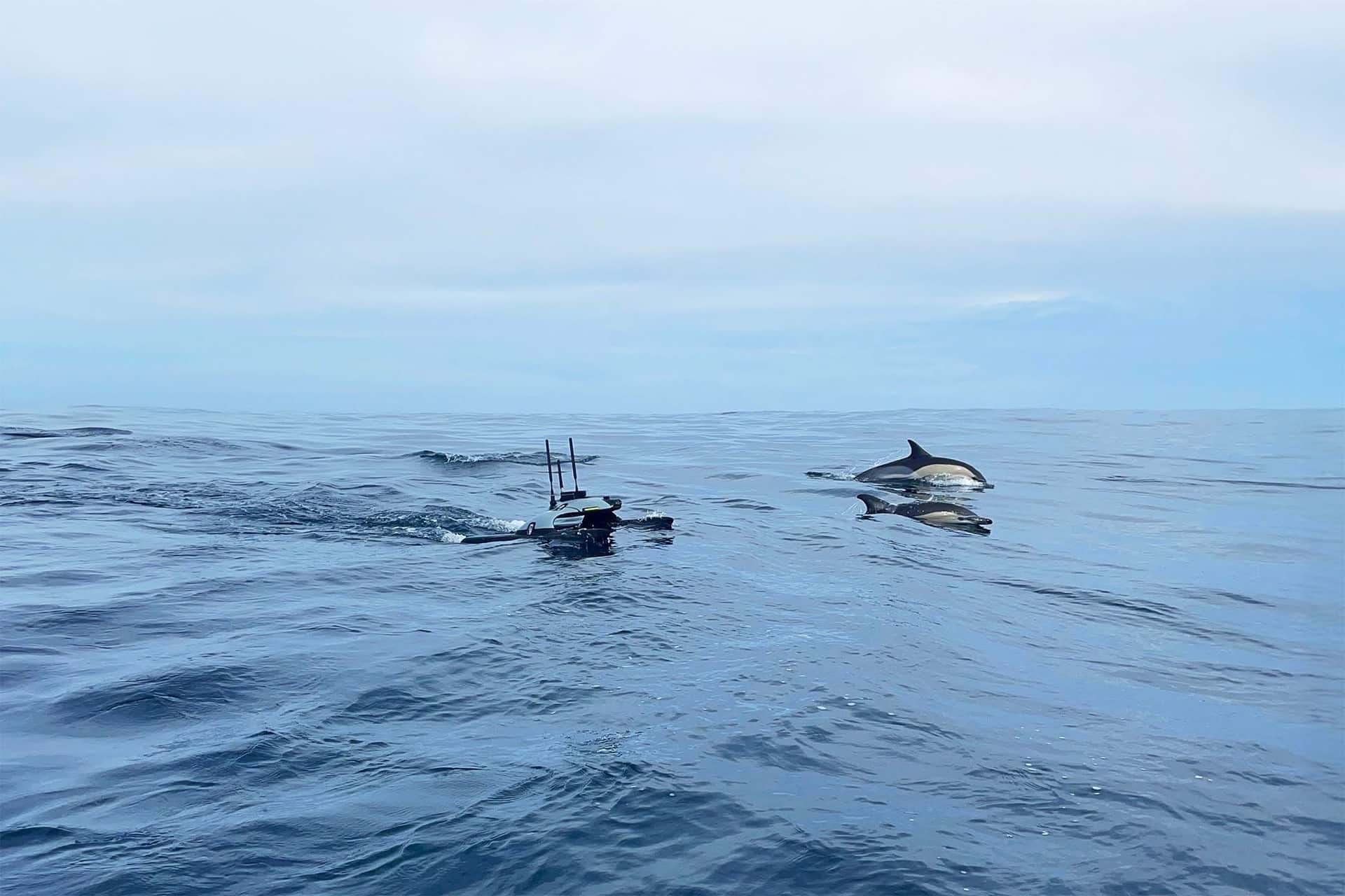 Sonobot 5 USV — view 3