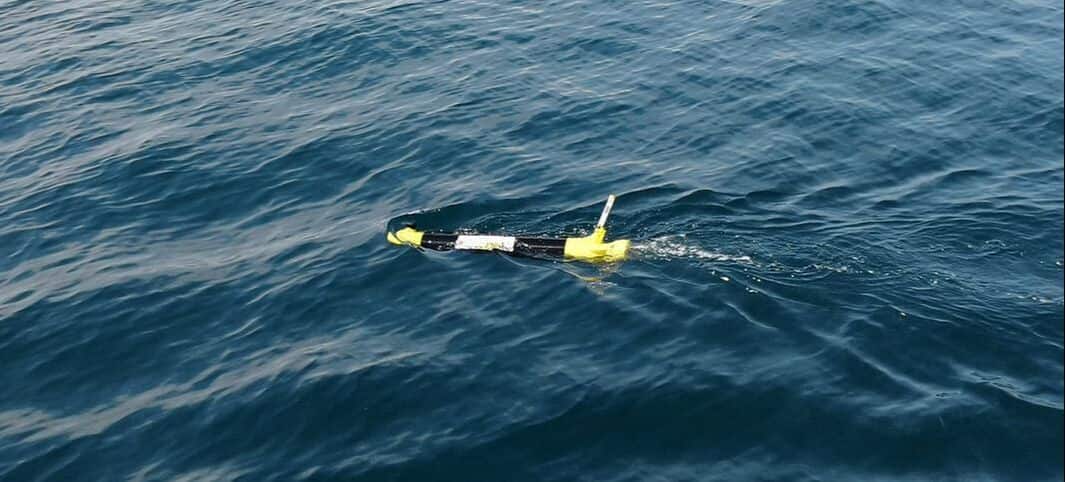 ecoSUBm5 & ecoSUBm25 AUV — view 2
