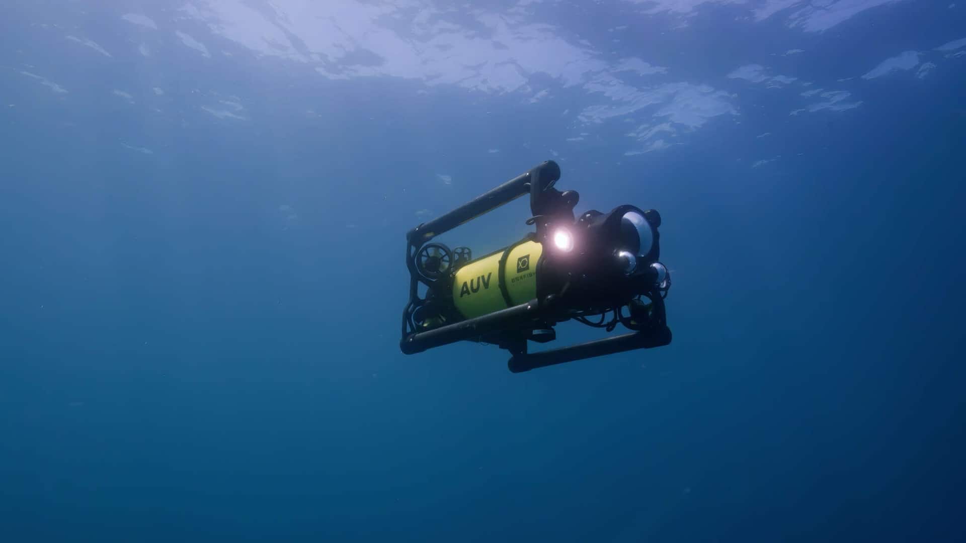 Boxfish Luna — view 3