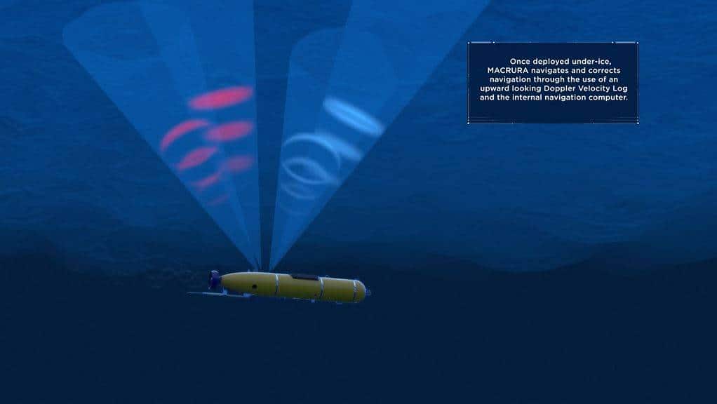 Bluefin-21 — view 3
