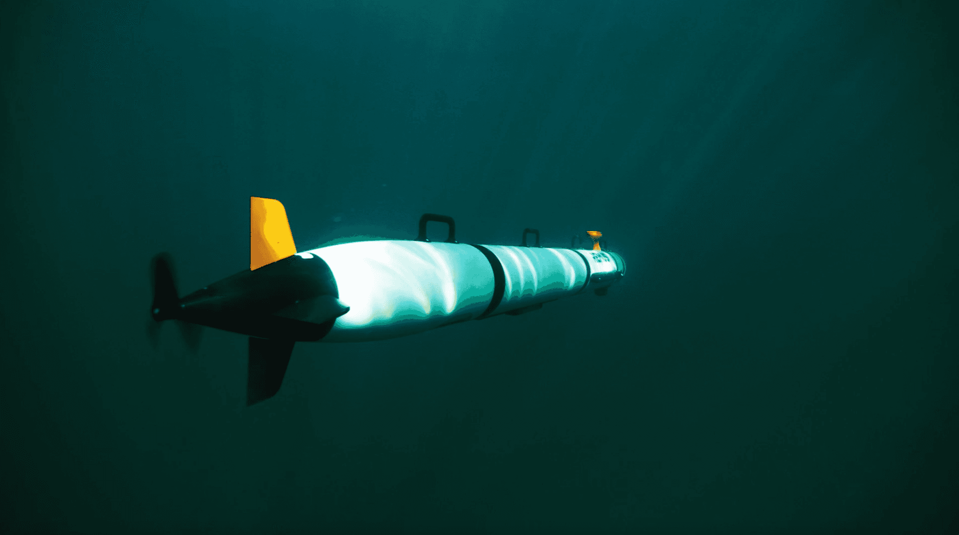 REMUS 300 — view 1