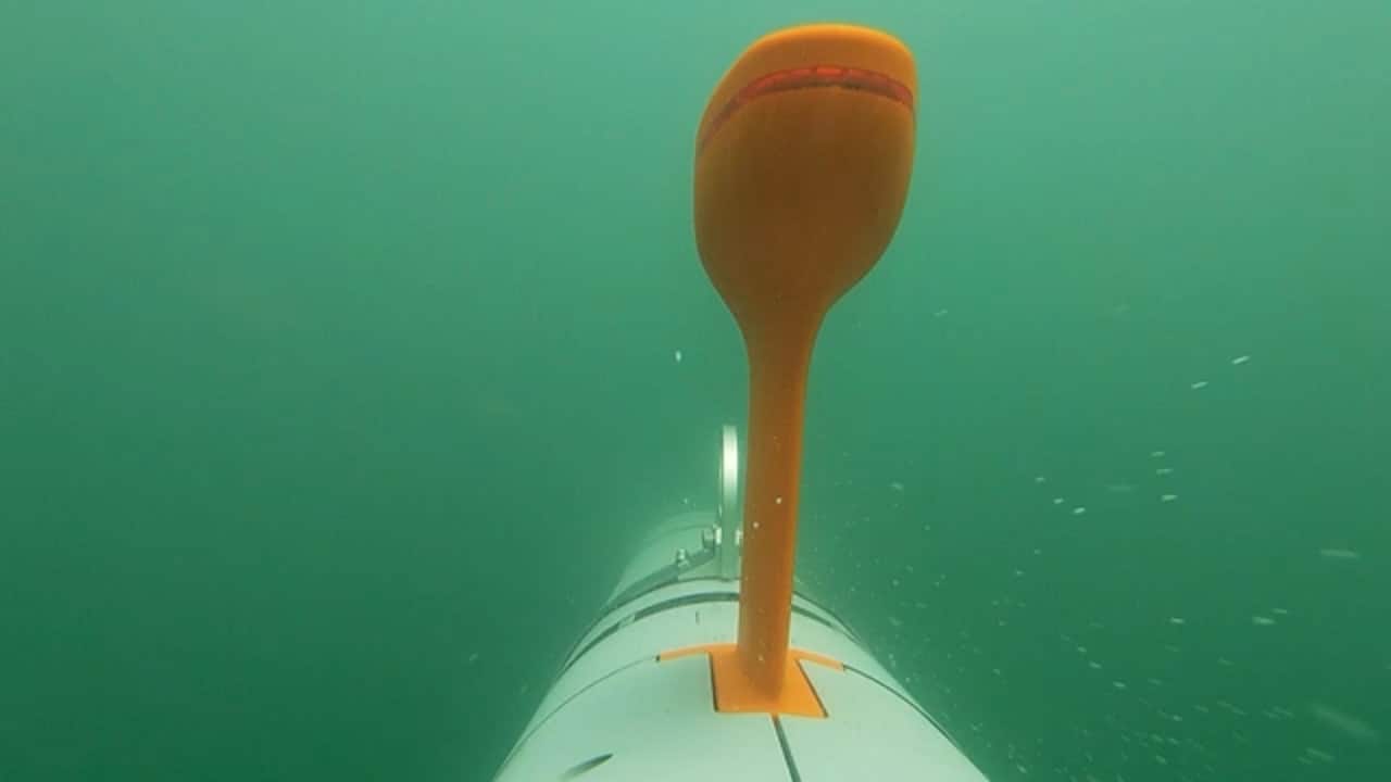 REMUS 620 — view 2