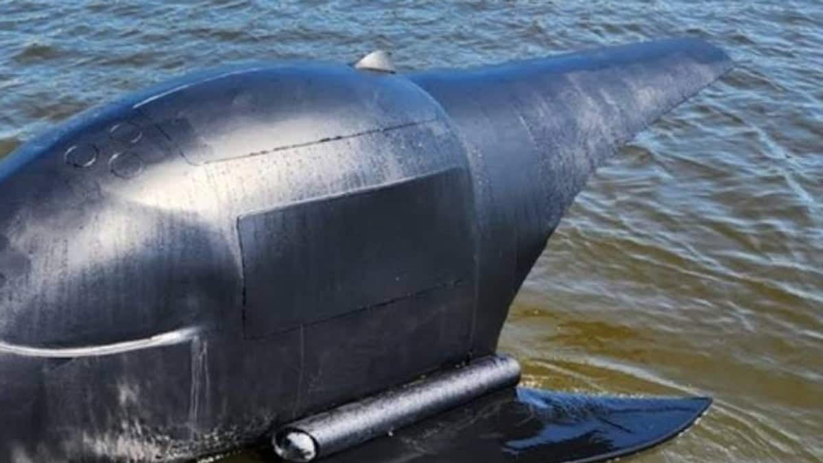 SP-7V2 — view 3