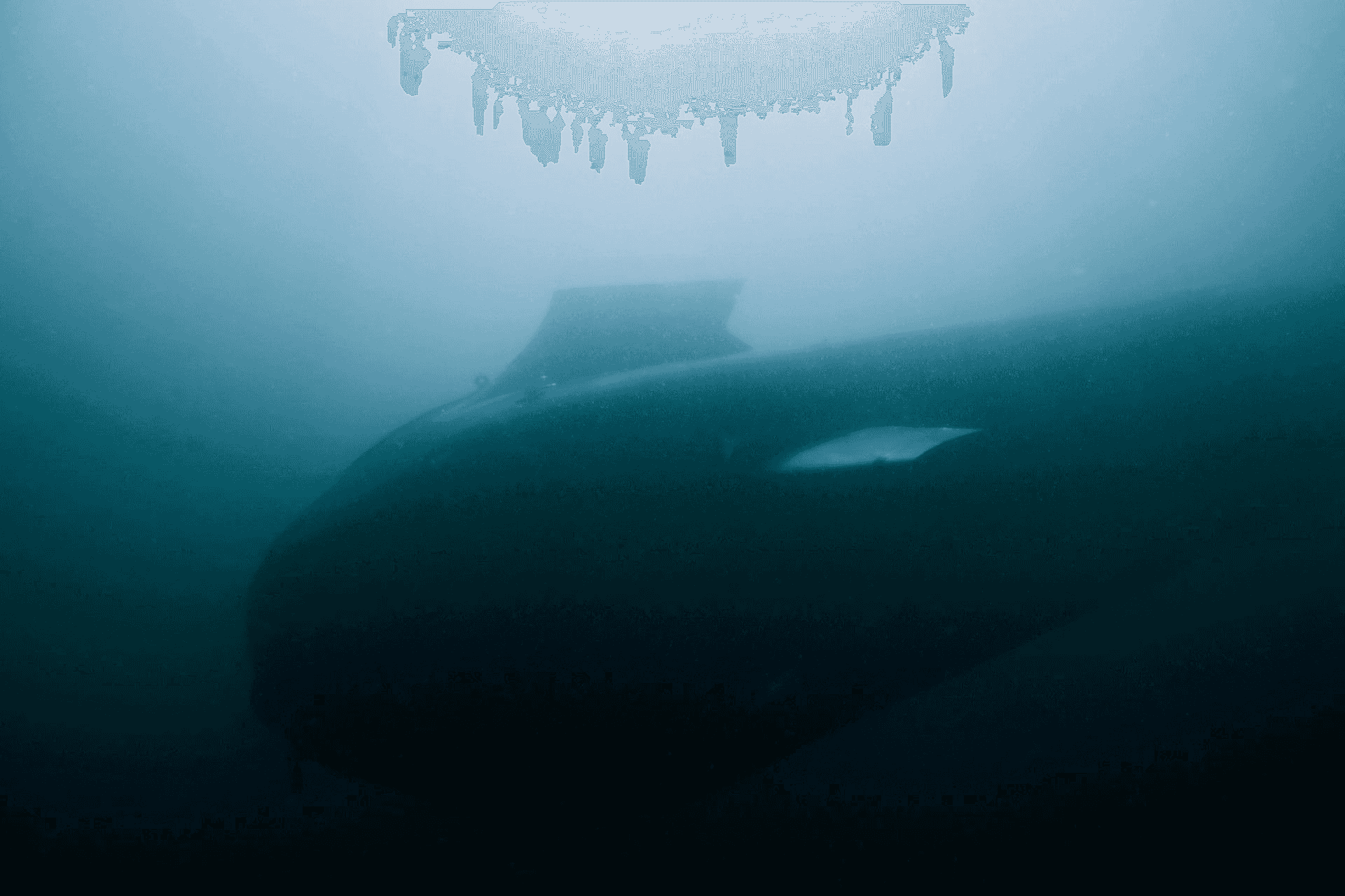 Dive-XL — view 3