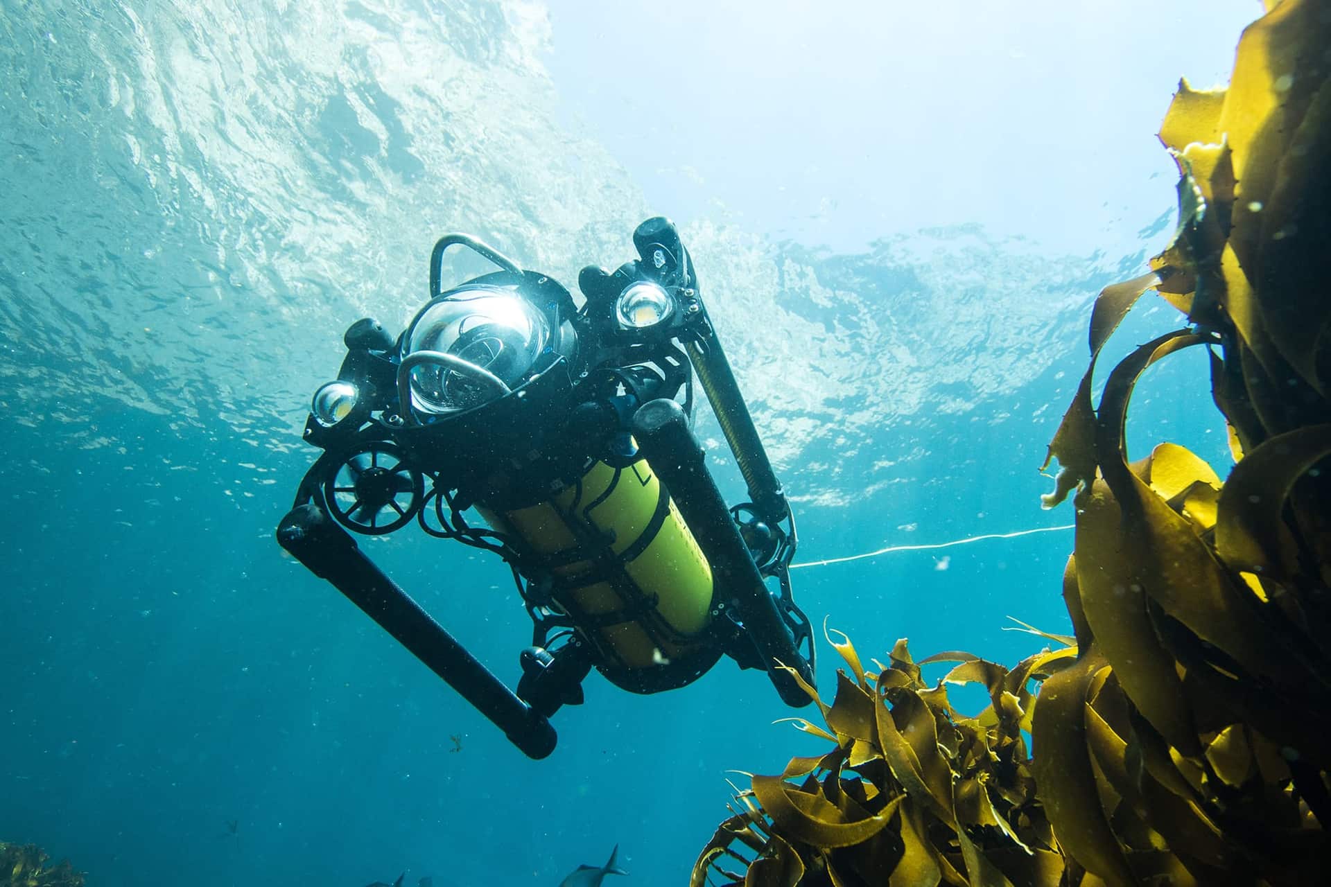 Boxfish ROV