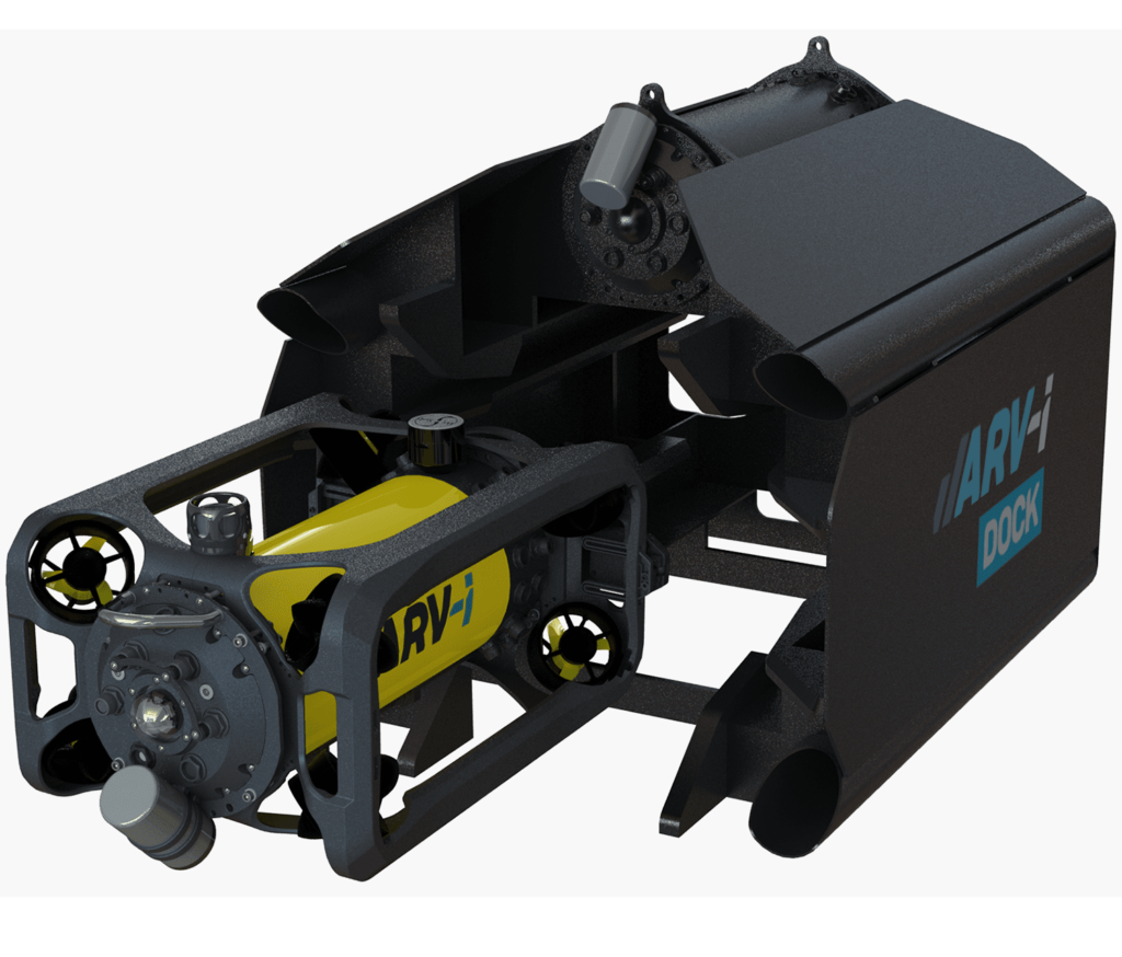 Boxfish Luna — view 2