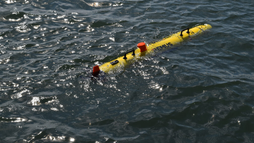 REMUS 6000 — view 2